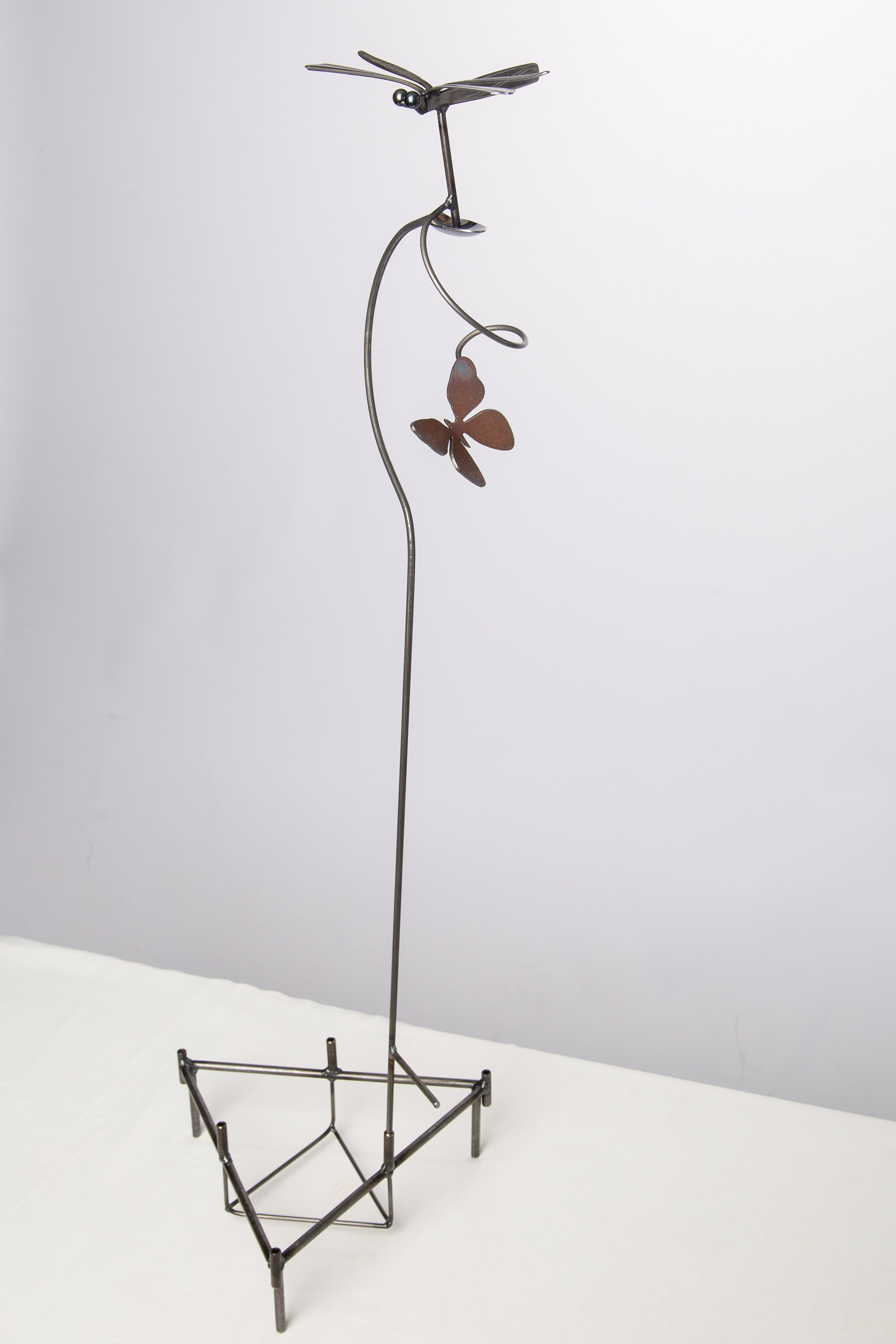 Drunken_Dragonfly_008