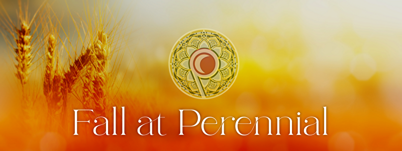 Fall at Perennial