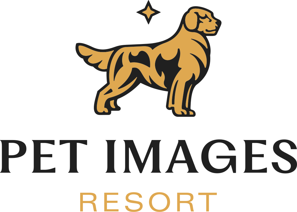 Pet Resort | Boarding, Daycare |
