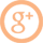 Google Plus Icon