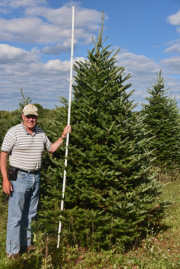 Planting to Harvest - Life Cycle of a Fraser Fir