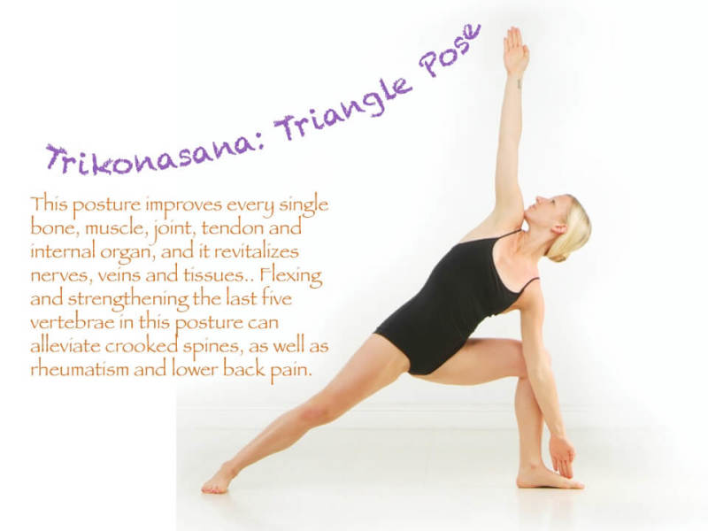 26 Hatha Yoga Poses | Purely Hot Yoga | Sacramento, CA 95819