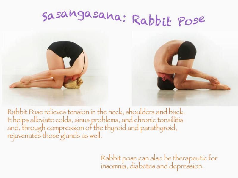 How to do Rabbit pose - Yoga Education (Sasangasana) - YouTube