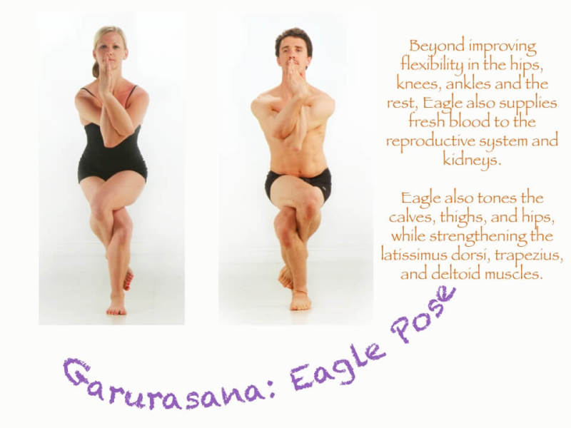 Toe Stand Pose — Thrive Hot Yoga