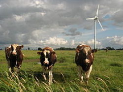 Farm Turbine Farm Turbine