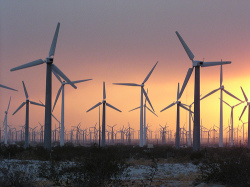 wind-farm