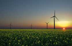 wind-farm 01