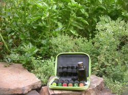 EssentialOilsGarden2