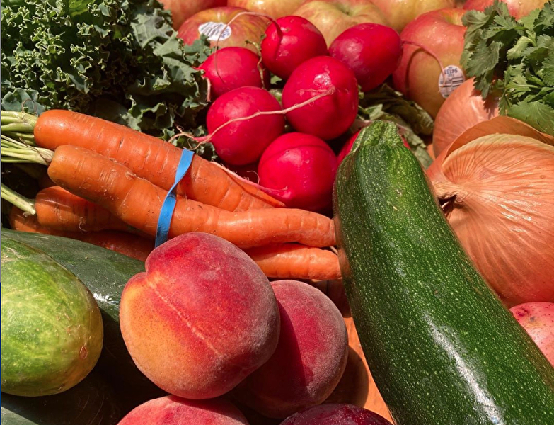 VeggiesRVFarmToSchoolFryFamilyB copy