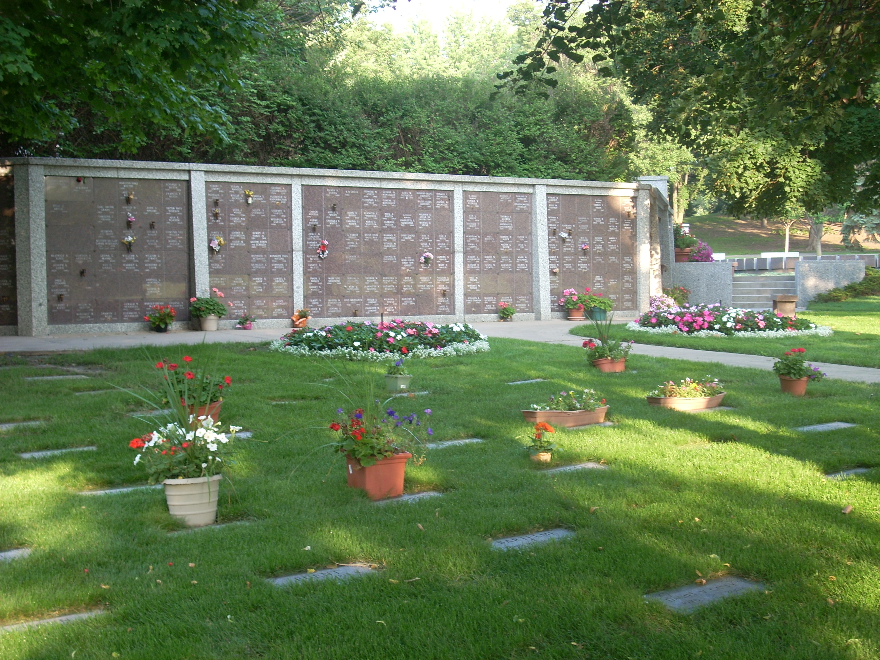 picture005