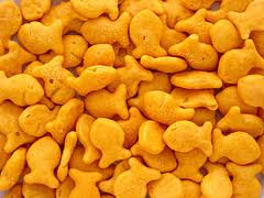 The Snack Edition