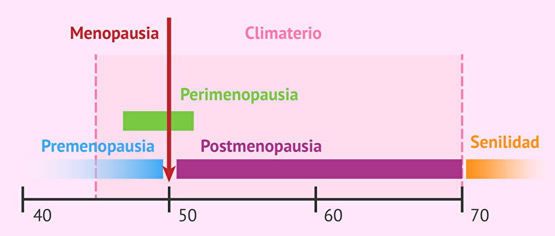 fases-climaterio_copy