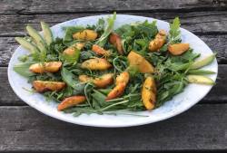 grilled peaches with honey