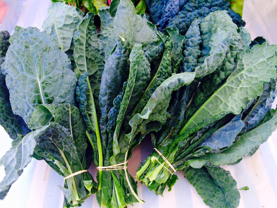 kale baby