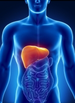 liver l
