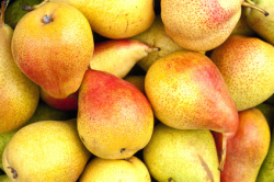 pears