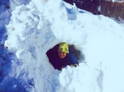 sophie igloo
