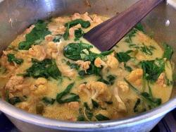 thai chicken curry