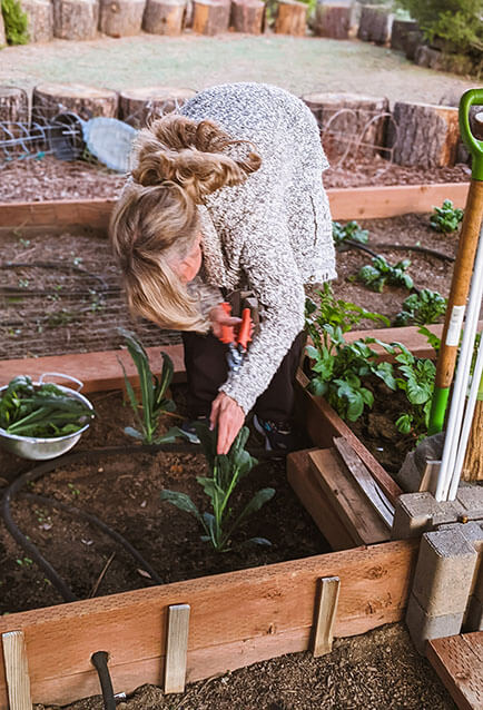 Bonnie-Gardening