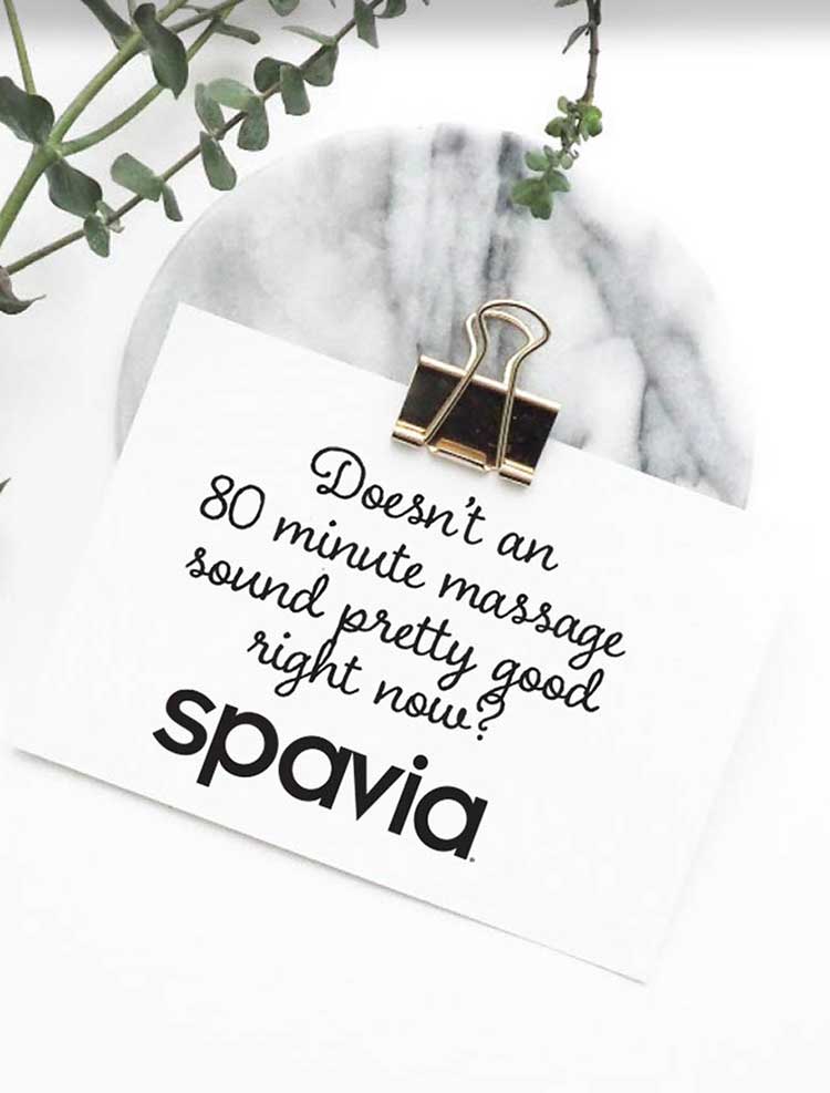 spavia promo message with plant and notecard