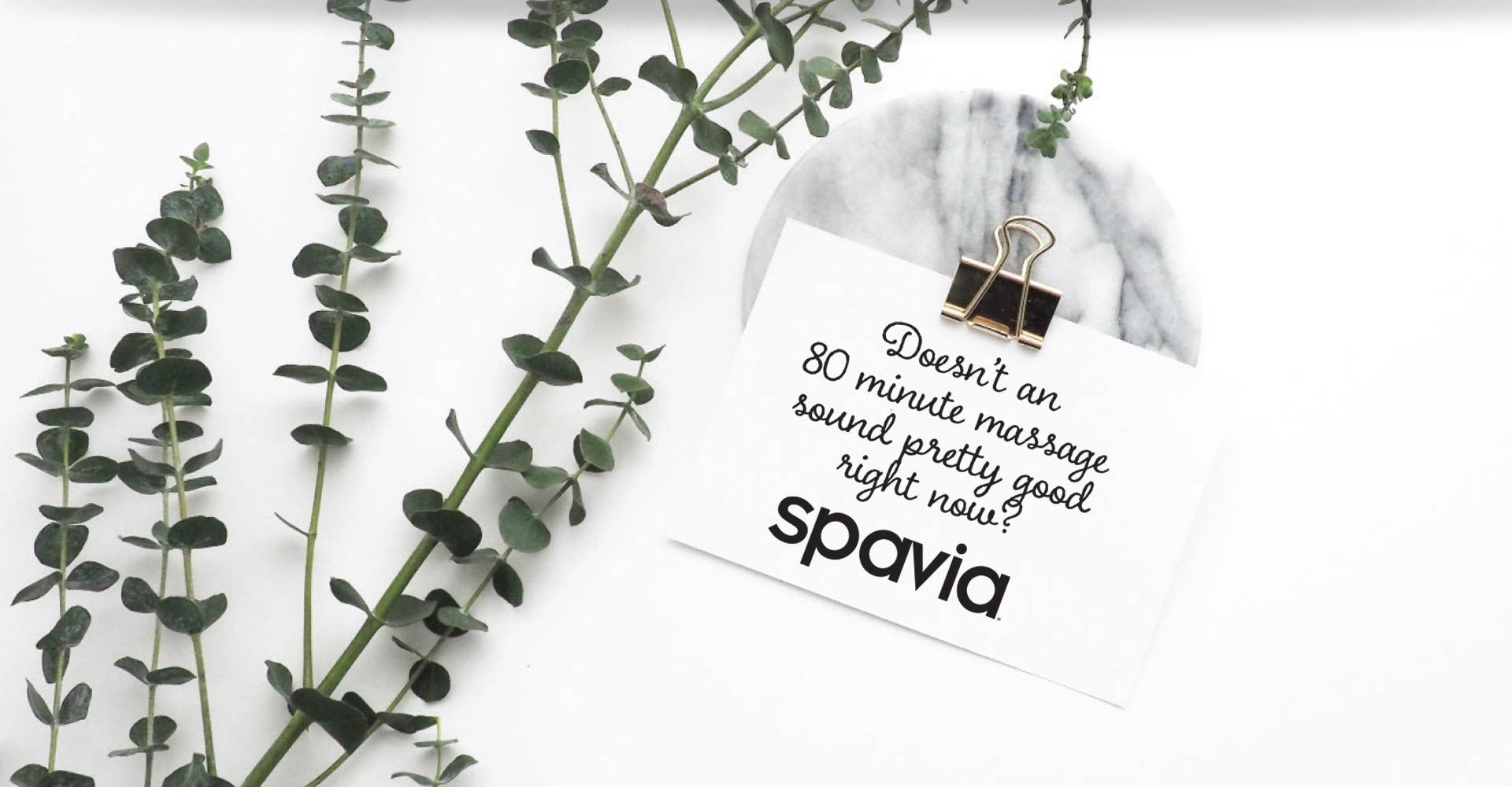 plant with a spavia massage promo note
