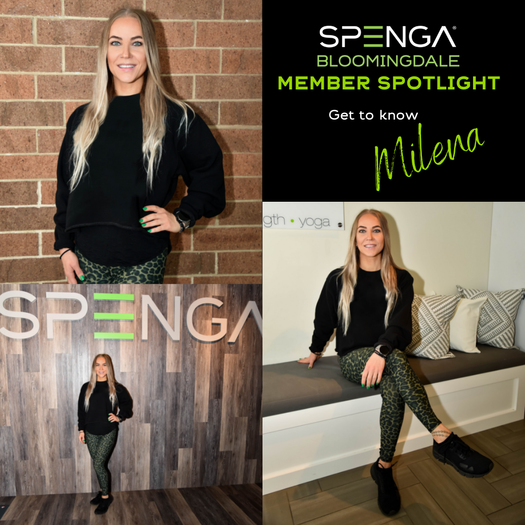 August Blog - Member Spotlight Cover