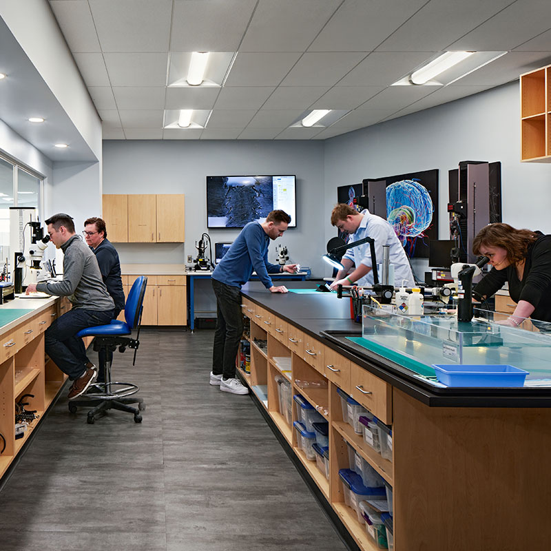 switchback medical team working in a lab