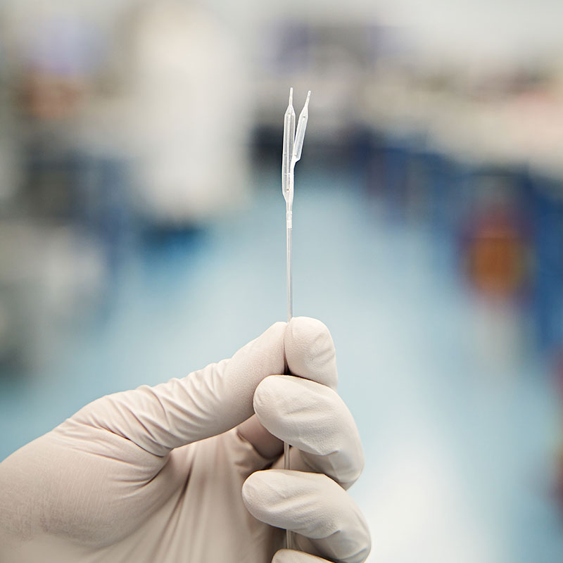 hand holding a balloon catheter
