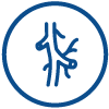 switchback-medical-peripheral-vascular