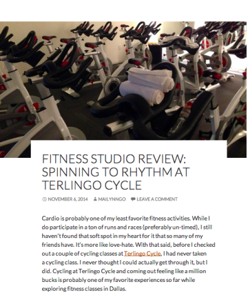 Deep Fried Fit Logo Banner - Terlingo Cycle Article Cont.