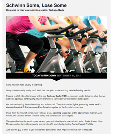 Schwinn Some - Spinning Studio Terlingo Cycle