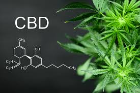 CBD Massage