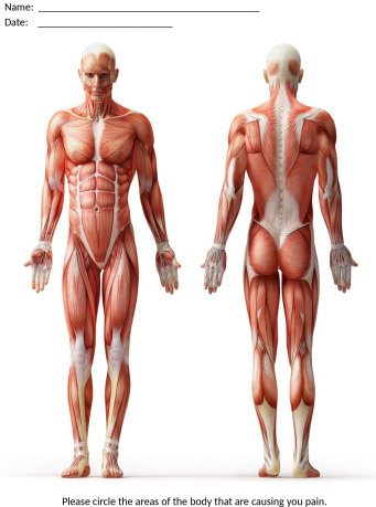 Human Body Drawing for Intake at The Muscle Therapy Center