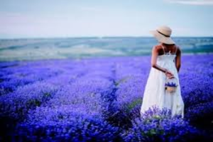 Lavender Massage Retreat
