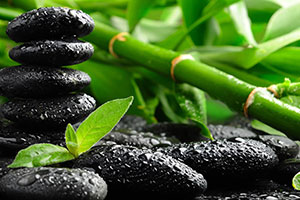 Sticks & Stones Massage at The Muscle Therapy Center