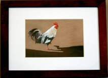 Faythe-Mills-rooster