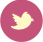 icon_twitter