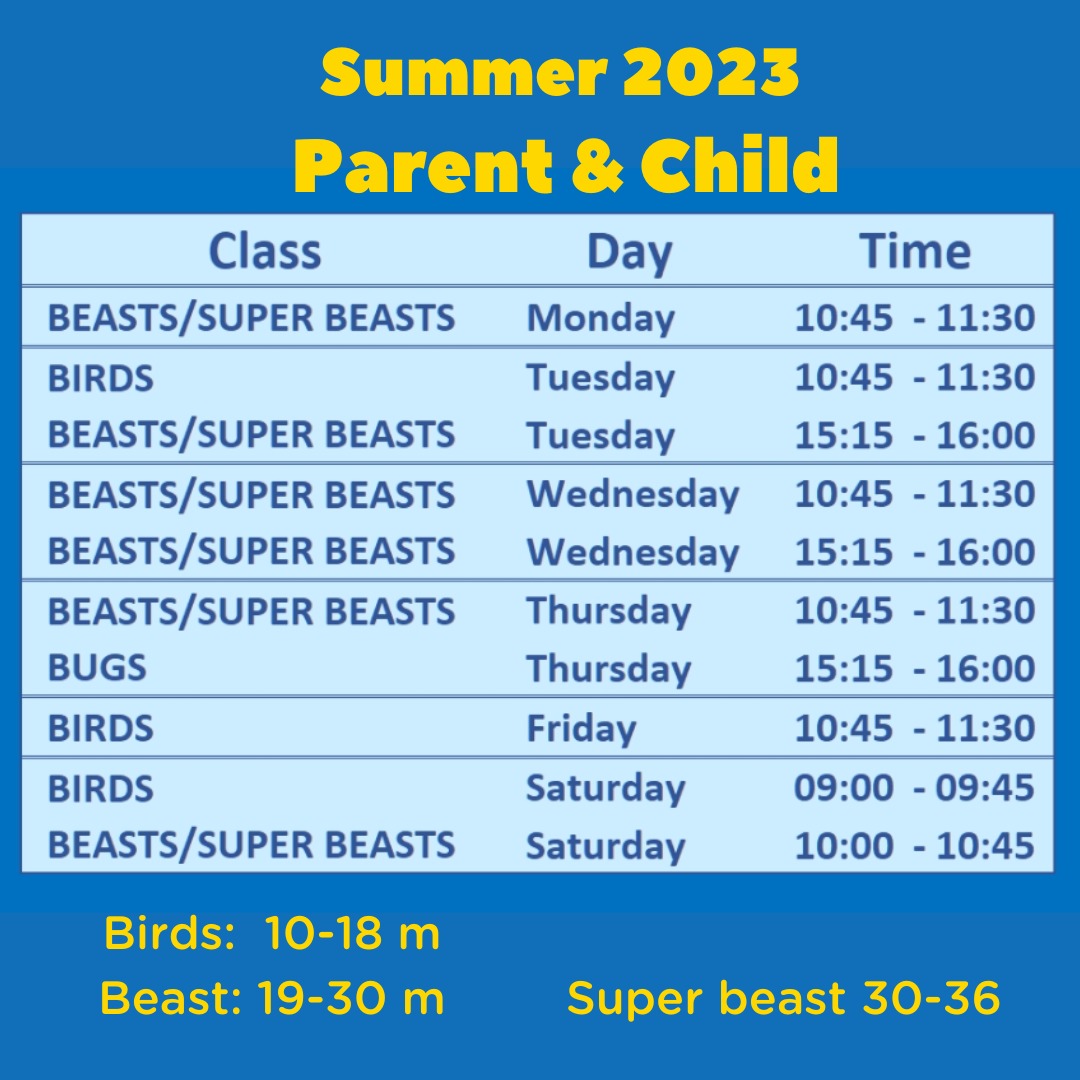 Children's Classes, Parties & More The Little Gym Wandsworth & Fulham