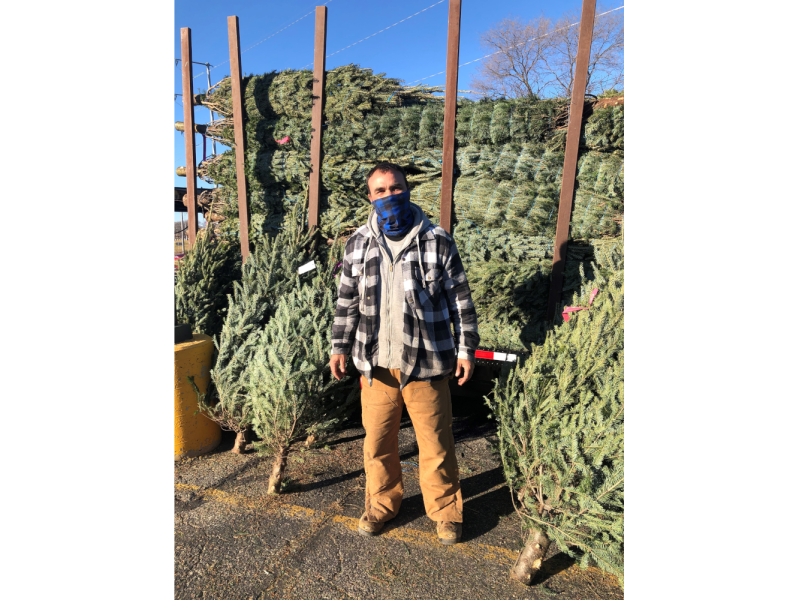 Christmas Tree Lot in Madison, WI with PreCut Trees