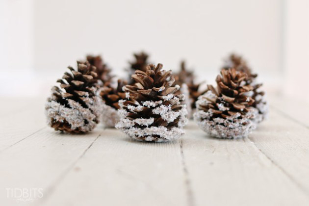 pinecones_copy