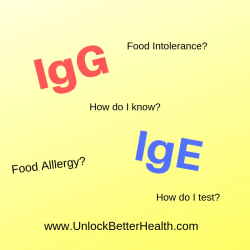 IgG