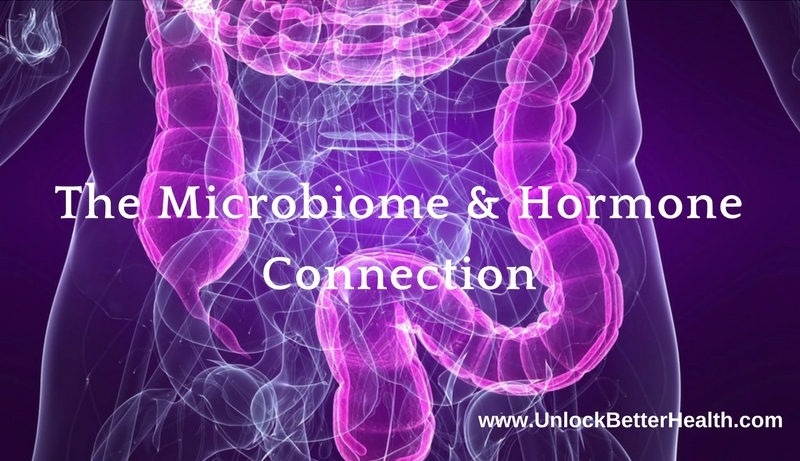 The Microbiome & Hormone Connection_copy