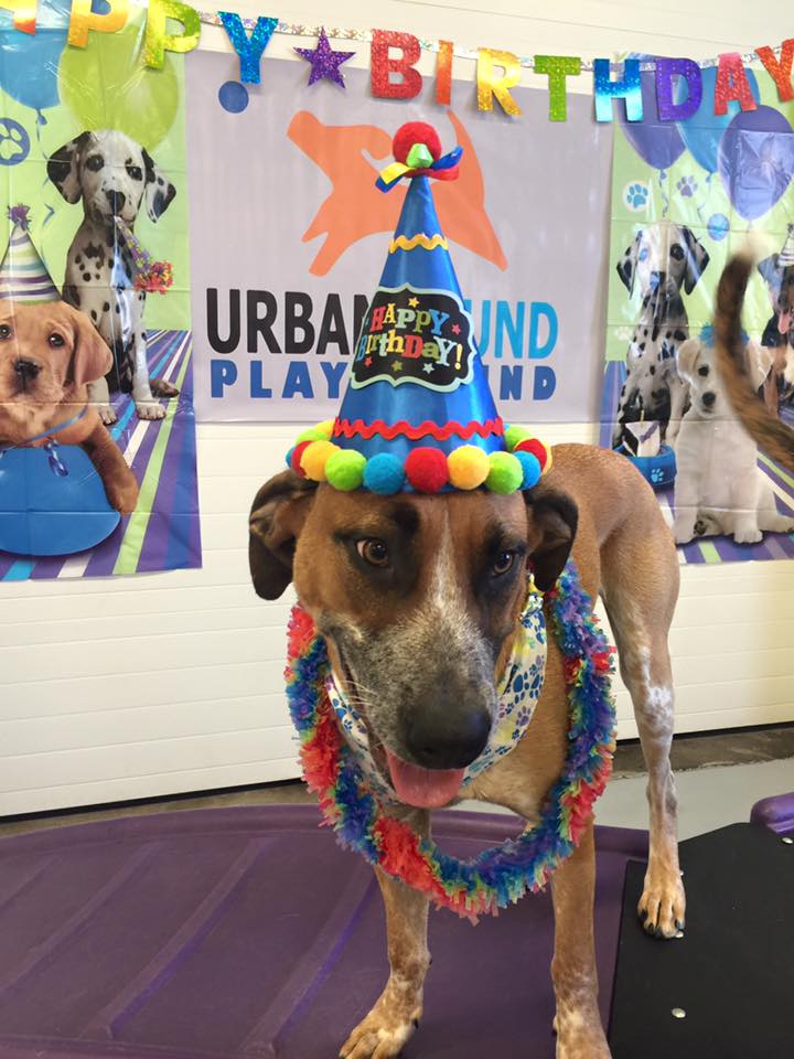FredBday