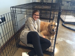 katrina and gus