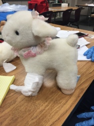 lamby