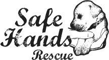 safe-hands-logo-small_copy