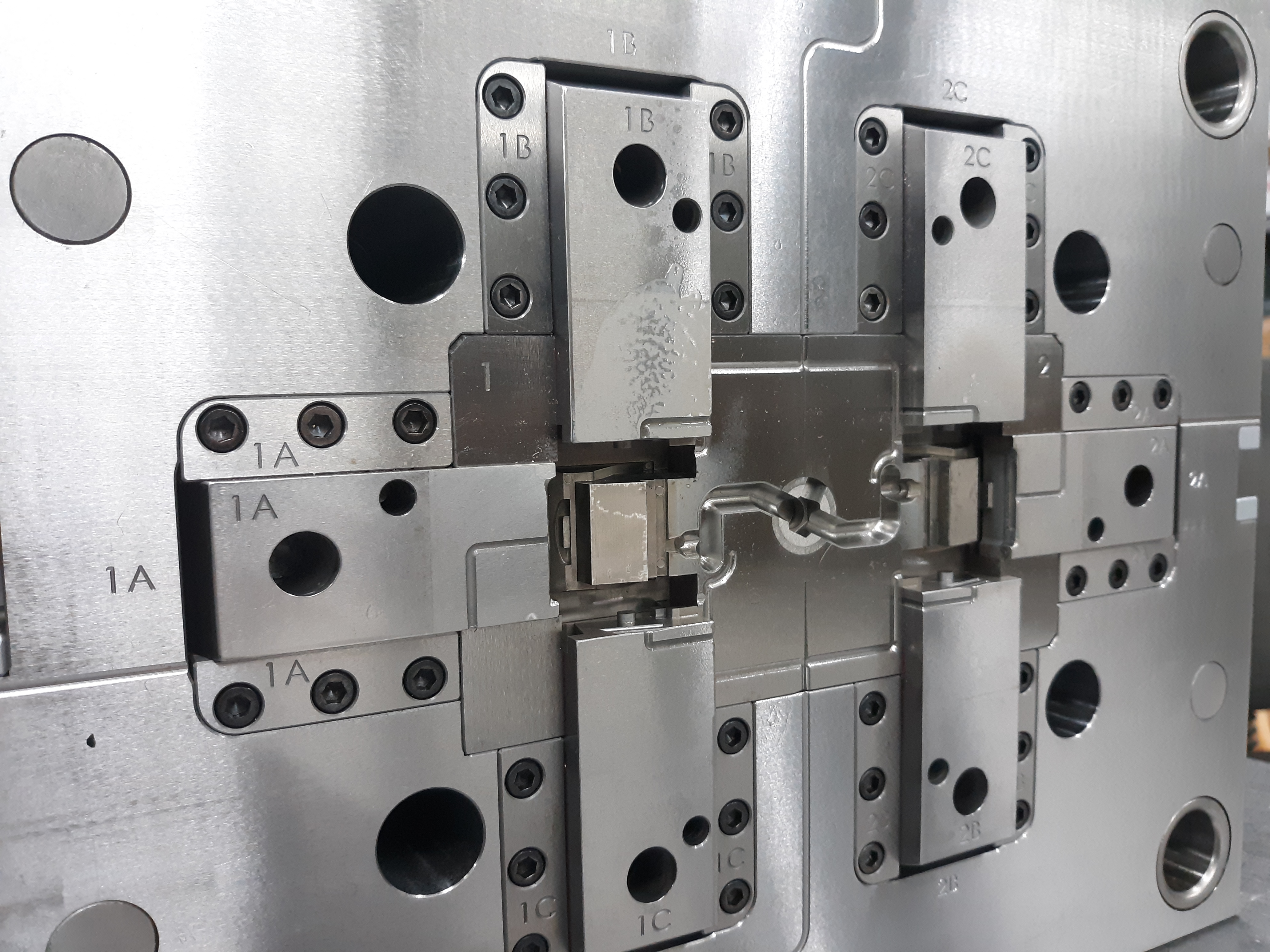 projectphoto_mold