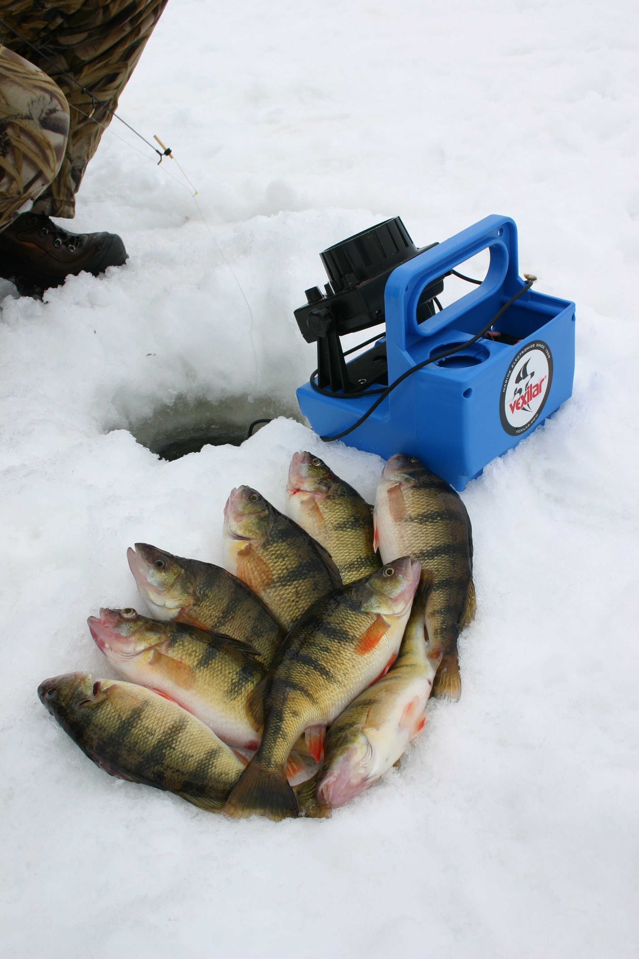 Improve Your Ice Fishing by 50%