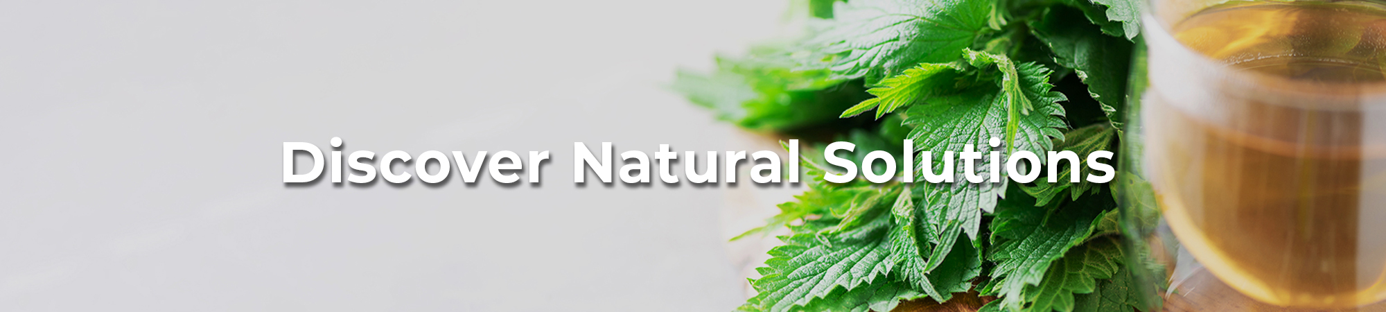 vital-body-wellnes-home-page-slider-healthy-solutions