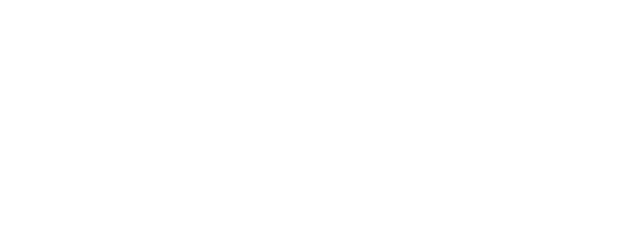 11.25.2024.vanessa.raphael.logo.signature-03-03_copy1